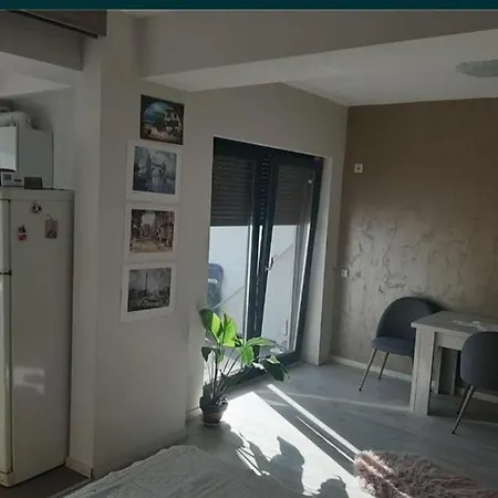 Garsoniera Paunoiuion Lägenhet *